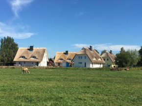 Reetdachhäuser Börgerende, Börgerende-Rethwisch